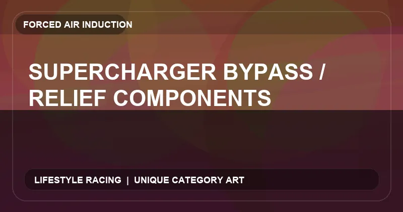 Supercharger Bypass / Relief Components